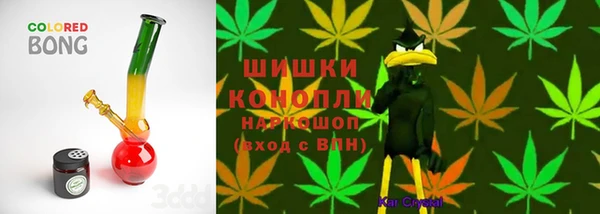 сатива Алексеевка