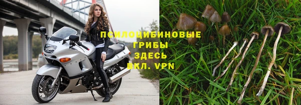 сатива Алексеевка