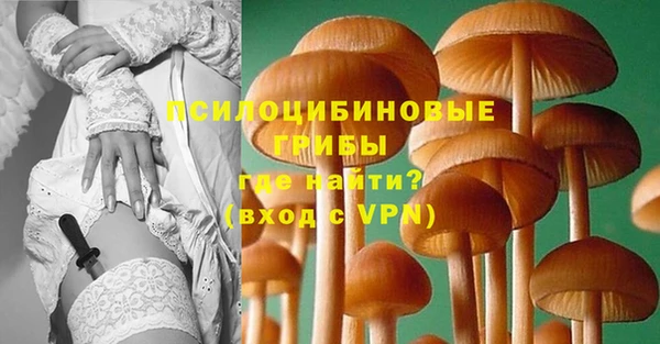 сатива Алексеевка